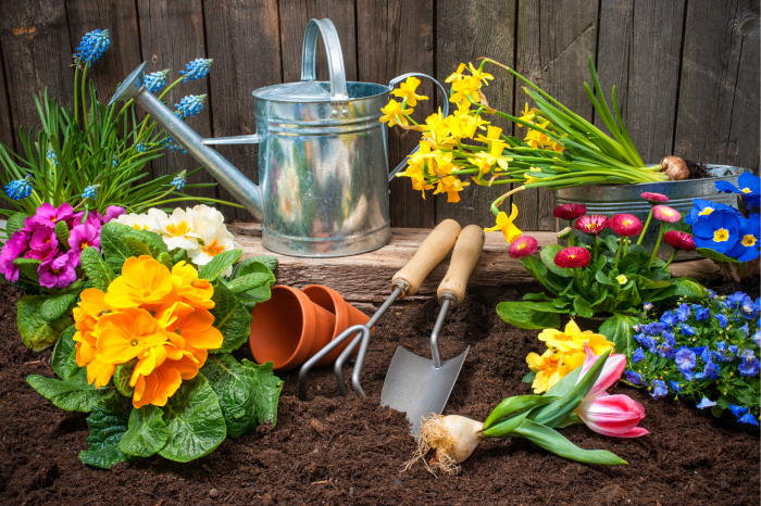 Website Image Childrens Gardening Program