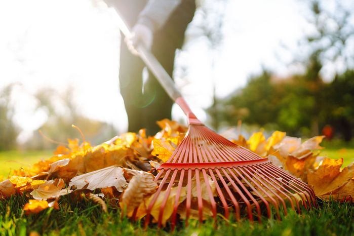 person-raking-fall-autumn-leaves-87a68497cbac4cf1828694592dd42c5b